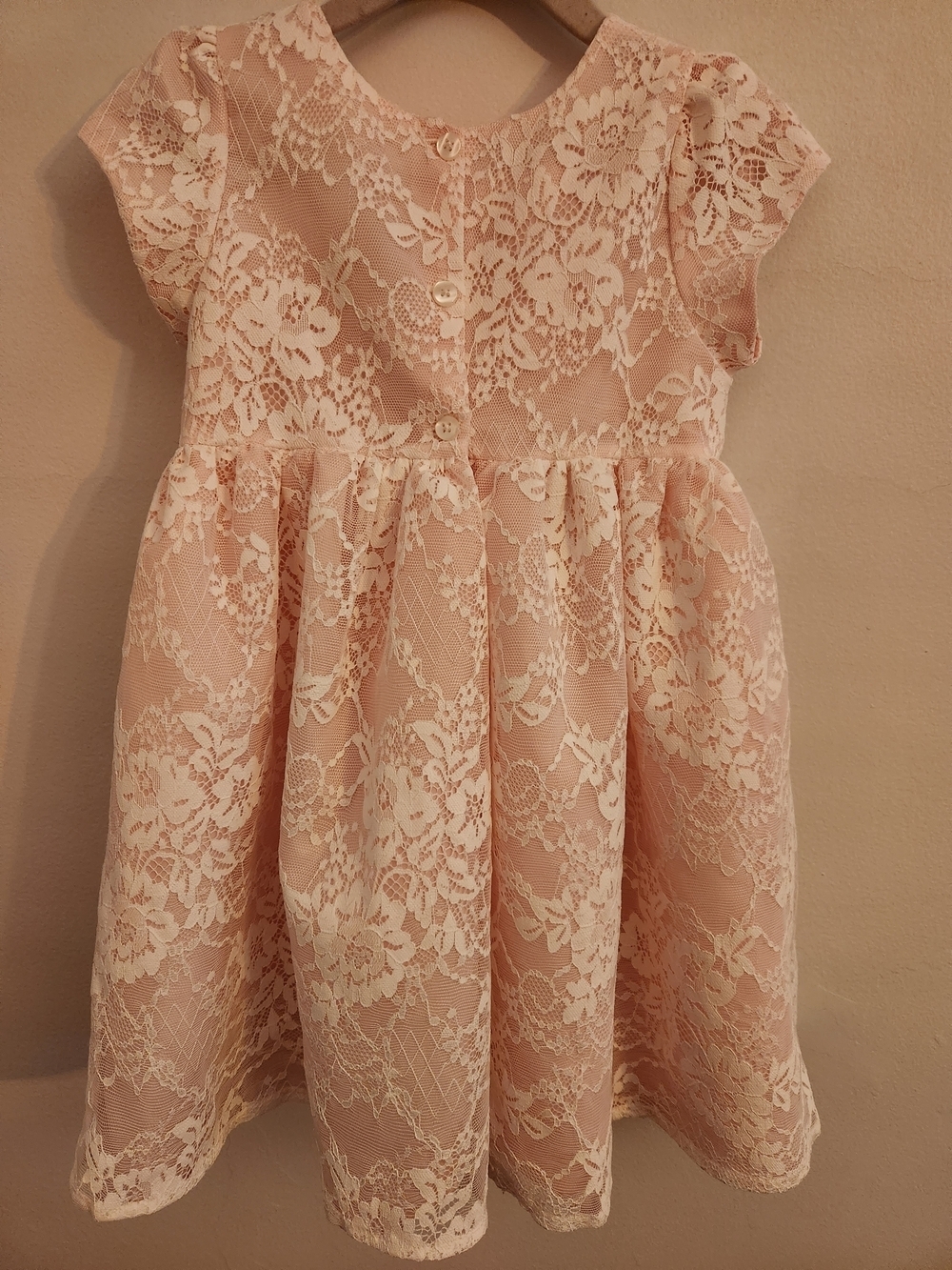 Mia & Mimi Delicate Pink Lace Dress w/Stationary Floral Sash, Size 4T, EPreLC - Picture 6 of 9